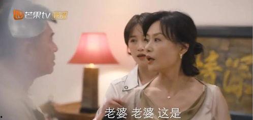 国产剧解说话题大全视频,揭秘热门剧集背后的趣味话题