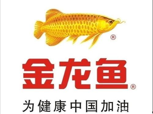 国产金龙鱼饲养视频,国产金龙鱼养殖技术大公开